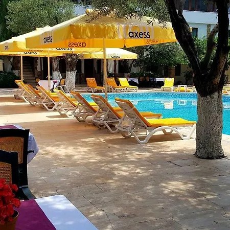 Hotel Palm Way *