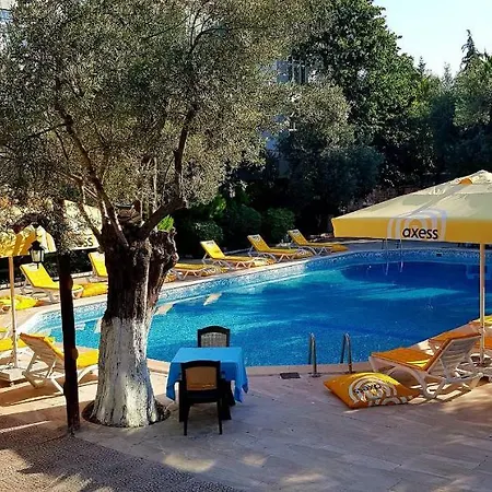 Hotel Palm Way *