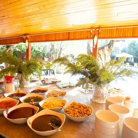 Palm Way Hotel Kucukkuyu